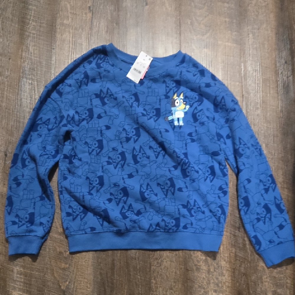 Blue Cartoon-Print Men’s Sweatshirt